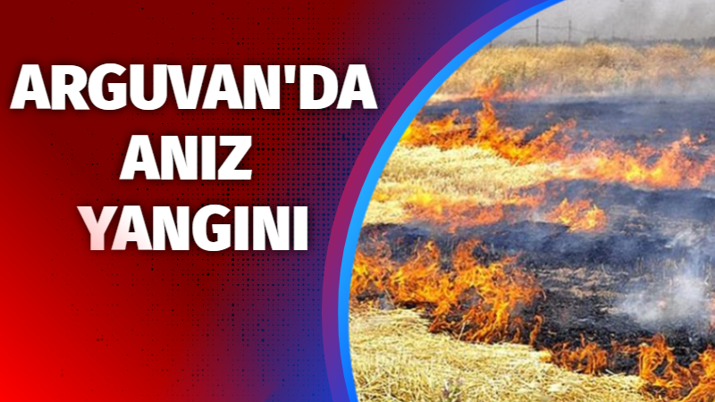  Arguvan’da çıkan anız yangını