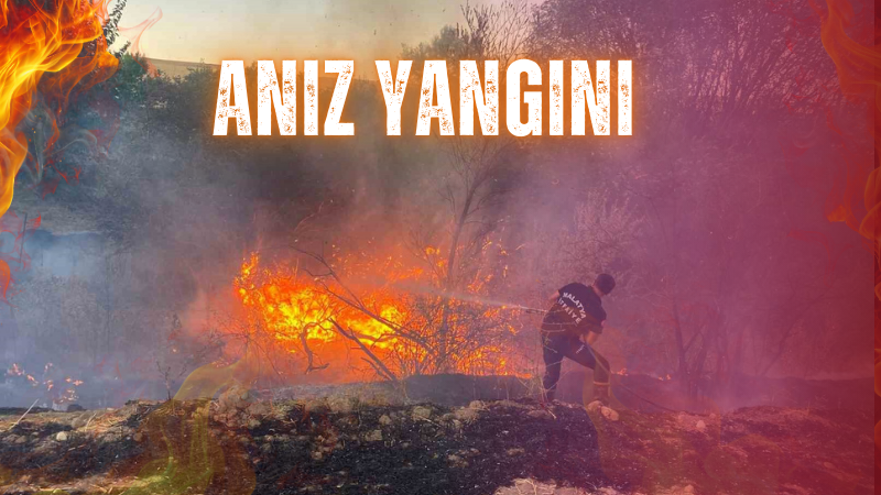 ARGUVAN’DA ANIZ YANGINI