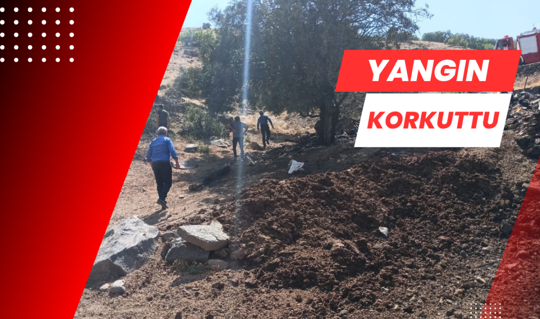 Arguvan’nın Ermişti mahallesi Mısırlı